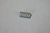 Chicago Flag Gold Pin