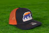 Bears Skyline Structured Trucker